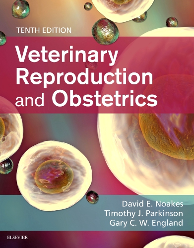 veterinary gynaecology